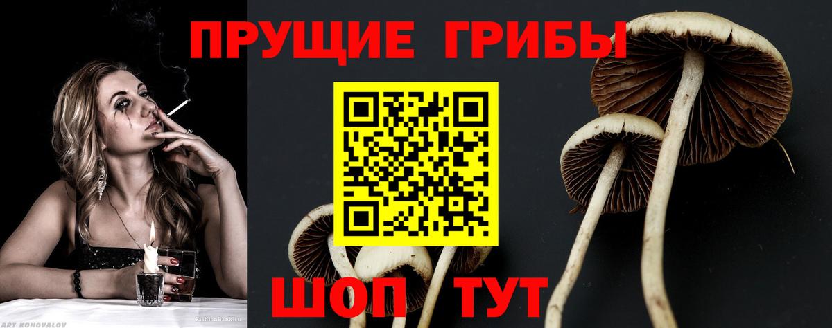 Псилоцибиновые грибы Magic Shrooms Холмск